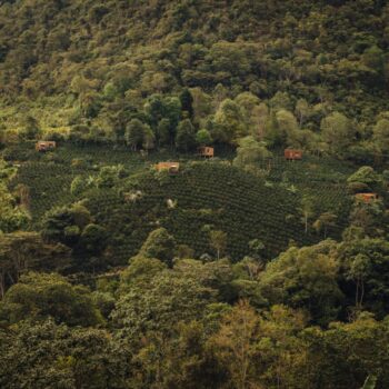 ابزار «توصیف‌گرهای قهوه‌آزمایی»