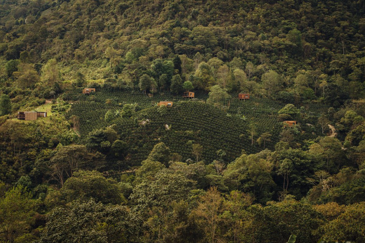 ابزار «توصیف‌گرهای قهوه‌آزمایی»