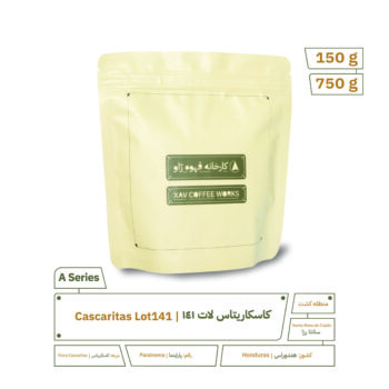 Honduras Finca Cascaritas lot 141