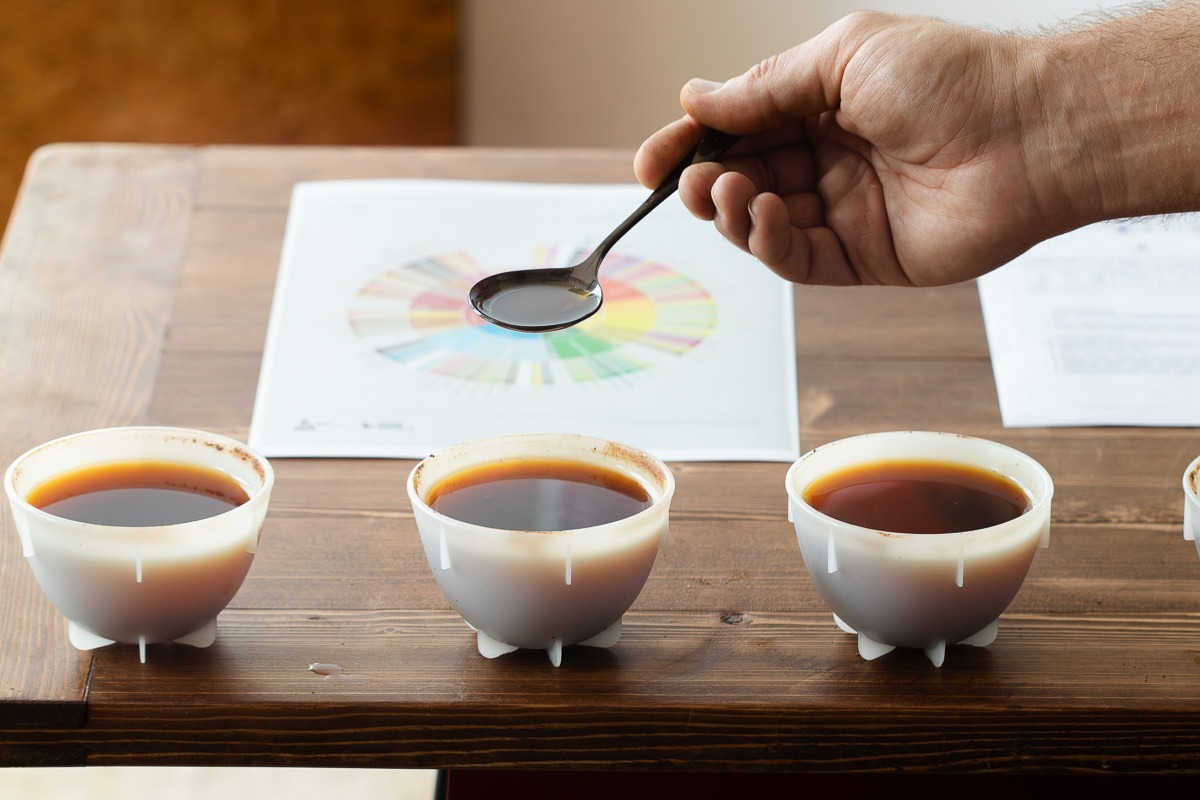 انتخاب قهوه برای مسابقات قهوه