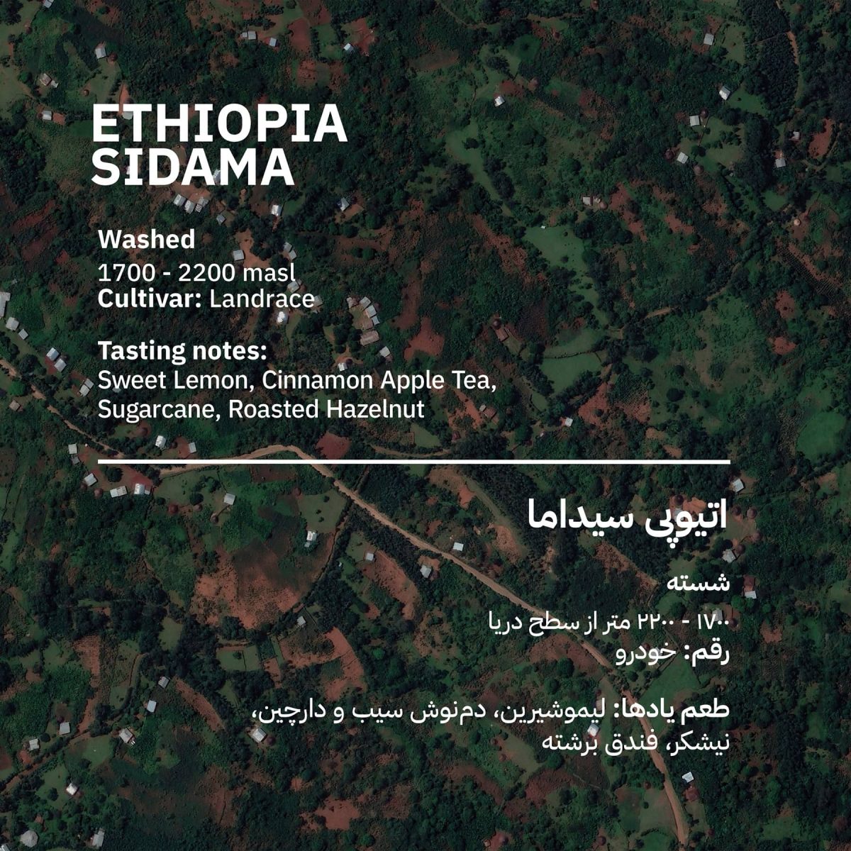 Ethiopia Sidama