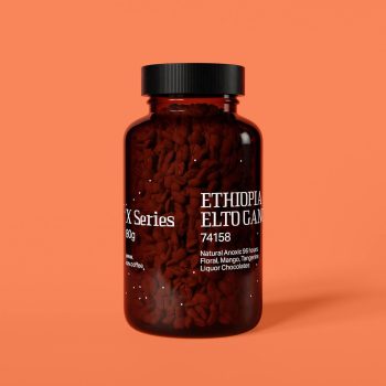 Ethiopia Elto Gango